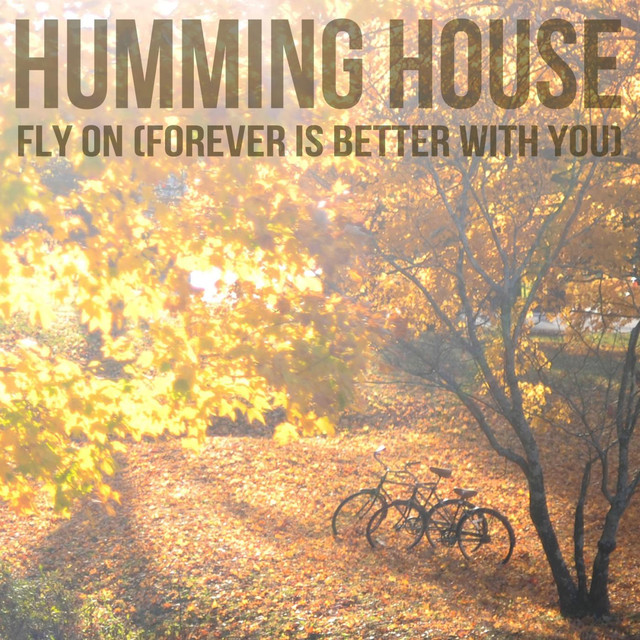 Fly On (forever Is Better With You) cover