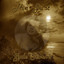 The Just Gale Storm cover