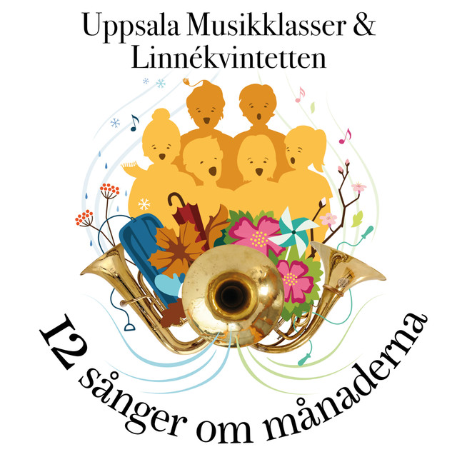 Uppsala Musikklasser photo