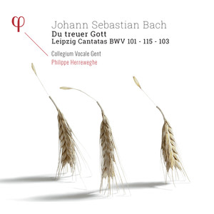 Bach: Leipzig Cantatas BWV 101, BWV 103 & BWV 115 album