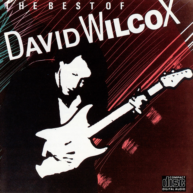 The Best Of David Wilcox cover