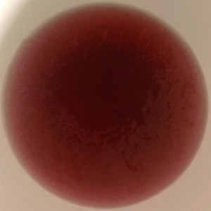 Dom H&auml;rliga Grannarna