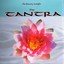 The Beauty Temple. Tantra. Yoga Albumcover