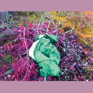 Dreamdecay Photo