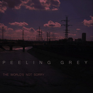 Peeling Grey cover