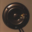 Born Electric Albumcover
