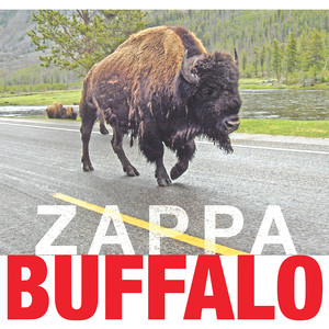 Buffalo album