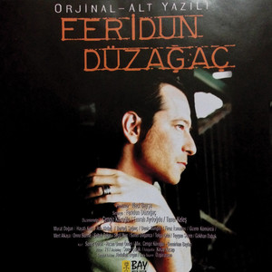 Tesadüfler cover