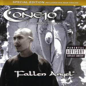 Fallen Angel cover
