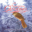 A Nightingales Christmas cover