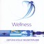 Wellness - Gefühlvolle Musikträume Albumcover