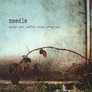Needle