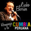 Homenaje a la Cumbia Peruana Albumcover