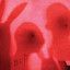 Blood Bunny/Black Rabbit Albumcover