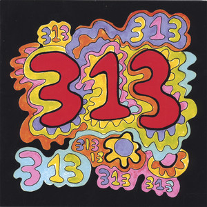 313 cover