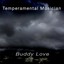 Temperamental Musician Albumcover