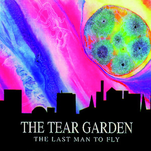 The Last Man To Fly cover