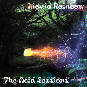 The Acid Sessions Vol 3 Albumcover