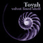 Velvet Lined Shell cover