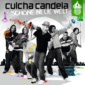 Schöne neue Welt cover