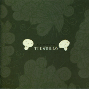 Sleepers Wake cover