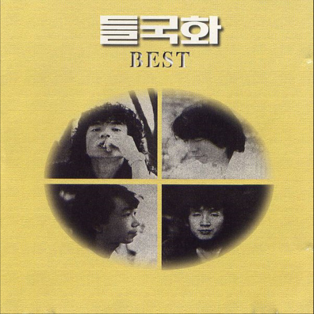 들국화 Photo