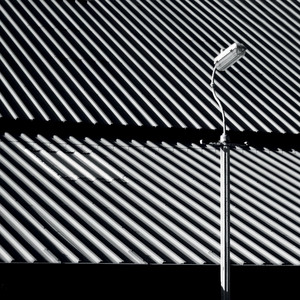 Vacca Wall cover