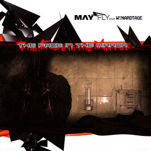 The Face in the Mirror cover