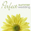 Perfect Summer Wedding cover