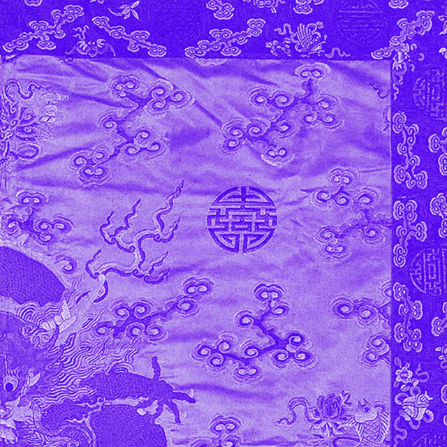 龍 Photo