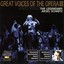 Great Voices Of The Opera Vol. 15 Albumcover