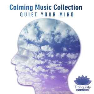 Calming Music Collection (Quiet Your Mind after Long Day, Relaxation Meditation) album