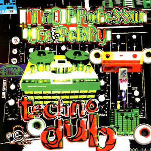 Techno Dub album