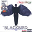 The Blackbird Albumcover