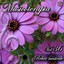 Musicoterapia, Vol. 36 (Relax musicale) Albumcover