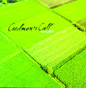 40 Acres album