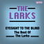 Eyesight To The Blind - The Best Of The Larks cover