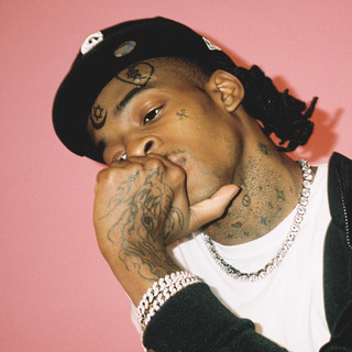 Thouxanbanfauni Photo