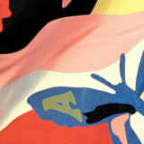 The Avalanches Photo