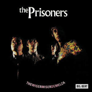 Thewisermiserdemelza cover