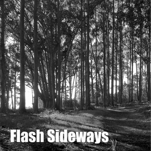 Flash Sideways Albumcover