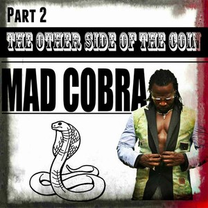 The Other Side Of The Coin Part 2 Albumcover