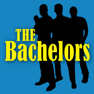 The Bachelors album