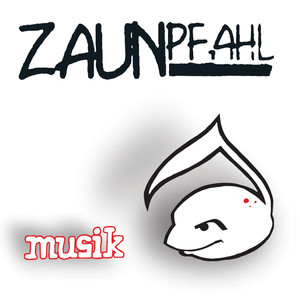 Musik cover