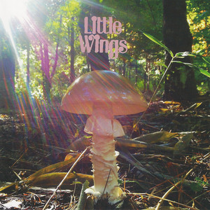 Last album