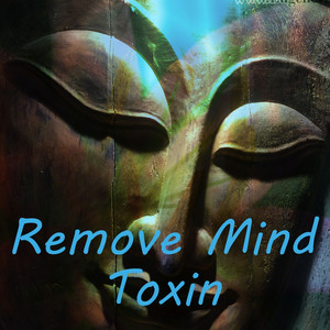 Remove Mind Toxin album