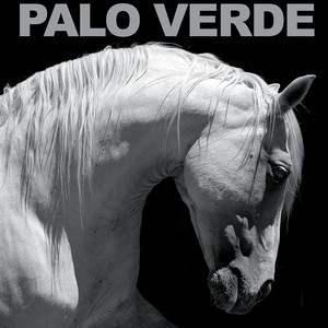 Palo Verde