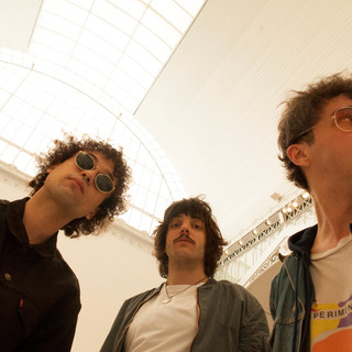 The Parrots photo