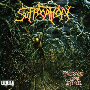 Pierced From Within album
