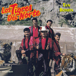 Tan bonita album
